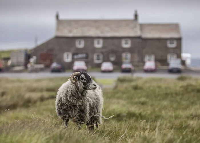 Mini-hôtel The Tan Hill Keld